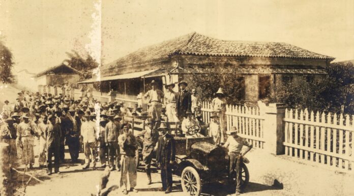 Como o Ativismo Radical Transformou a Saúde Mental no Brasil